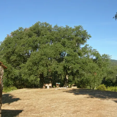 Apartment Farmhouse between Siena and the Sea relax swimming pool WiFi 1 room 2-4 P