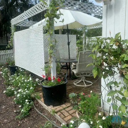 Cottage/Tiny House Living Accommodation in Beaufort for Cost-conscious Traveler