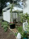 Cottage/Tiny House Living Accommodation in Beaufort for Cost-conscious Traveler - balcony