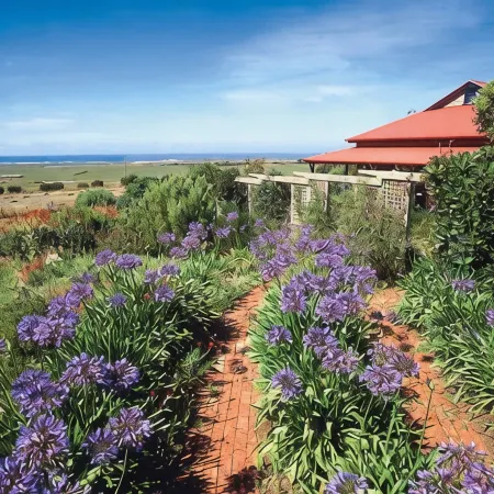 Tower Hill House Near Port Fairy, Beautiful Ocean Views, Nature Reserve, Pets OK