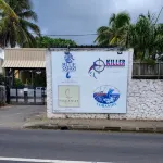 Charming 3 bedroom villa with pool, only 4 minutes walk to the beach - Bintang 2