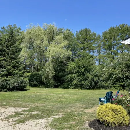Quiet Cottage Surrounded by Beaches, Restaurants, Hiking, Shops & Kennebunkport
