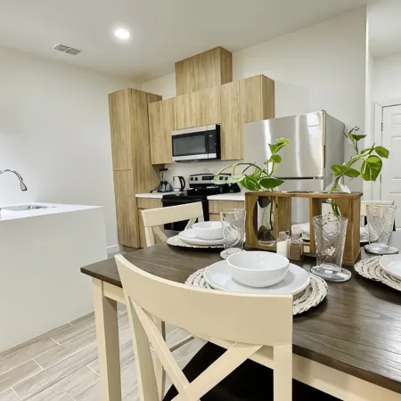NEW Mcallen Apartament