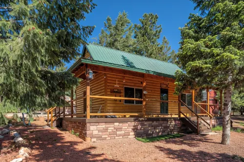 Cozy Cabin & Hot Tub Pet Friendly with AC and Fast WiFi in Duck Creek Village - Alppimaja