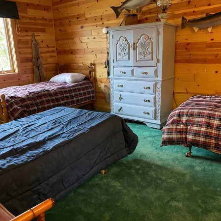 Quiet "UP NORTH" Cabin with All the Amenities. 200 a Night.