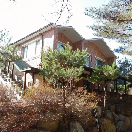 Forest House