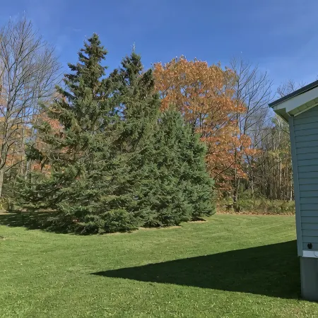 Beautiful 4 season getaway  in the scenic northwoods of the Western UP!