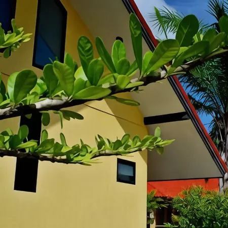 Tanisa Resort