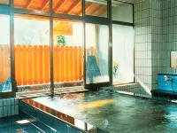 Ishidaya - Hot Springs