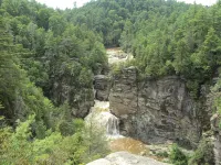 Lovely Log Cabin-15 Min to Asheville! 20 Min to Biltmore! Local breweries abound - 木屋