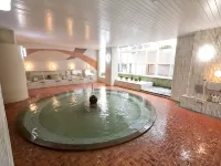 Tansen Hotel - Hot Springs