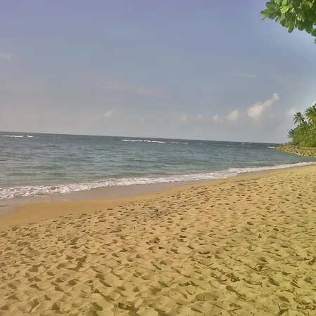 Villa Paraiso Luxurious Beach Front 5BR/6BA Villa @ Dorado Beach Ritz Reserve