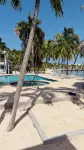 Escape to Paradise – Beautiful & Budget-Friendly Condo! - Pools