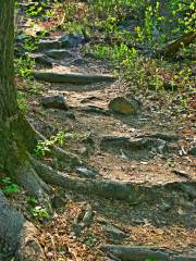 Jiufeng National Forest Park