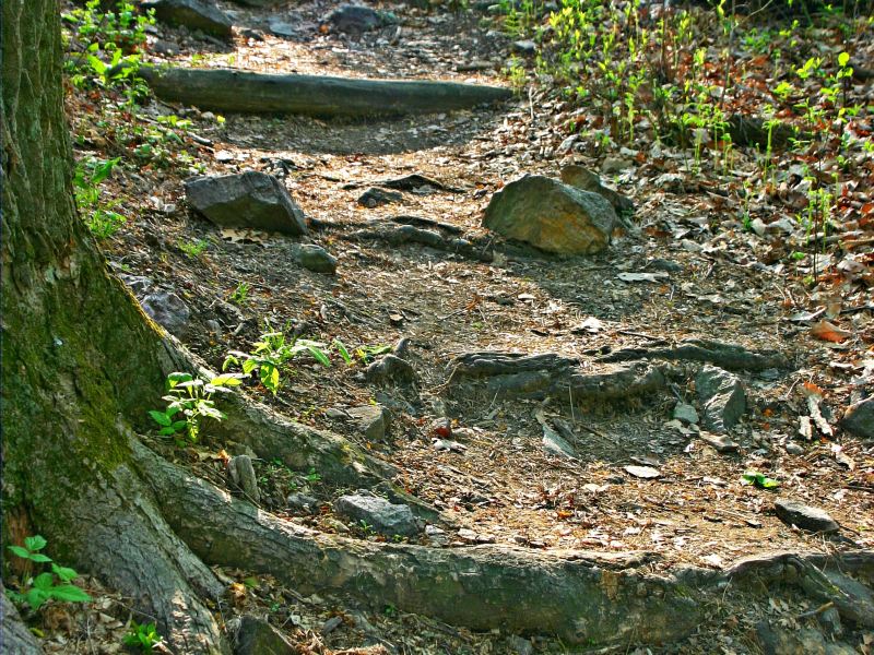 Jiufeng National Forest Park