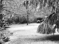 Au Plech Hotels in Gers