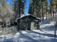 Dark Pine Retreat - Chalets