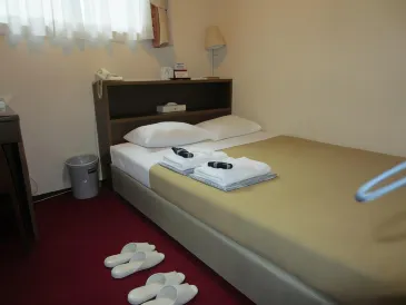 Hotel Yanagibashi