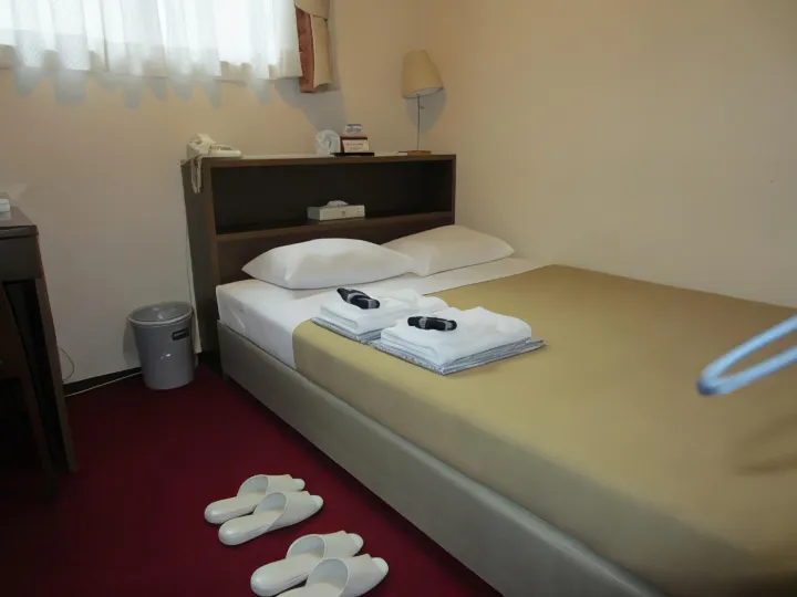 Hotel Yanagibashi