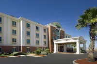 Holiday Inn Express & Suites San Antonio-Airport North