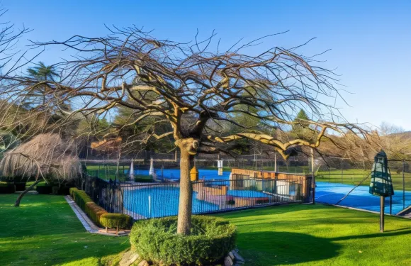 栗子樹假日公寓