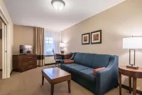 Comfort Inn Hotels in Epsom