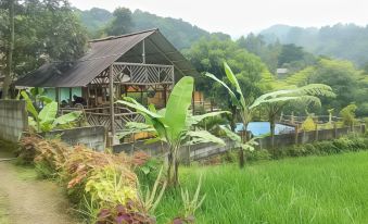 a lush green field with a wooden house in the background , surrounded by trees and mountains at De Salak Homestay