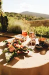 Hôtel la Fête en Provence فنادق في Seguret