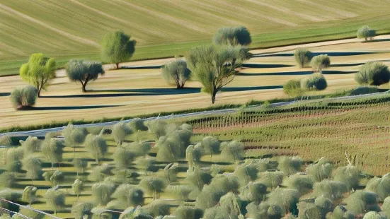 Les Vieux Murs