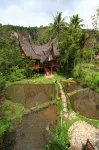 Padi Ecolodge Hotel dekat Jalan Masuk Air Terjun Langkuik Tinggi
