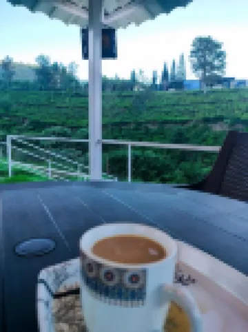 Cloud & Mist Inn-Stay with Mountain Views in Kotagiri, Near Ooty