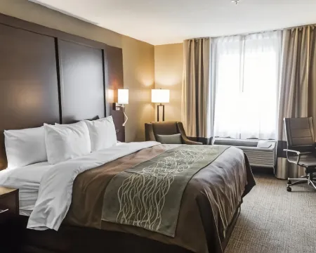 Comfort Inn & Suites Pharr/McAllen Hotels in Pharr