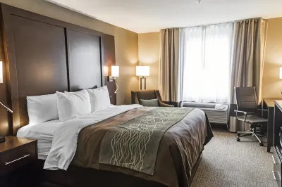 Comfort Inn & Suites Pharr/McAllen Hotels in Hidalgo County