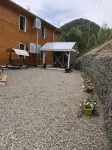 Baikal Cedar