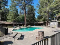 LOGE Camps Bend