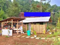 Ciwidey Jungle Camp Hotels near Hutan Pinus Rahong