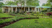 Villa 33