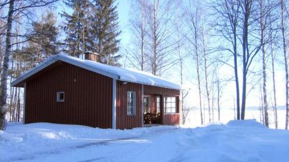 Pihlajatupa