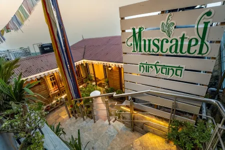 Muscatel Nirvana @Mall Road