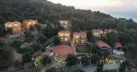 Essence of Nature, Ranikhet