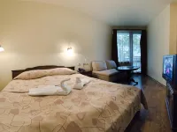 Family Complex Mountain Romance Apartments - balcony
