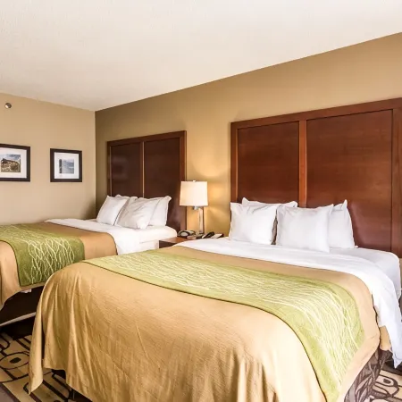 Comfort Inn & Suites