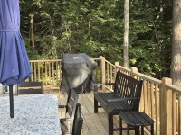 Tranquil, serene Sebago Lakefront House on 2 wooded acres - 300ft waterfront! Hotels in Casco