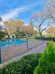 Luxury House into Nature in Sandton, peaceful place with full of greens - Uima-altaat
