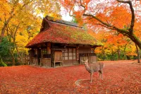 Yamatonoyado　KITABUKURO