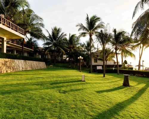 Lotus Village Resort Hotels near Fairy Spring