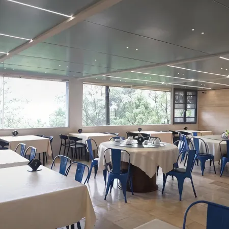 Yinxin'gu Treehouse Hotel