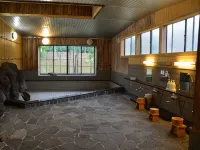 Alpine Route Hotel - avec sources thermales