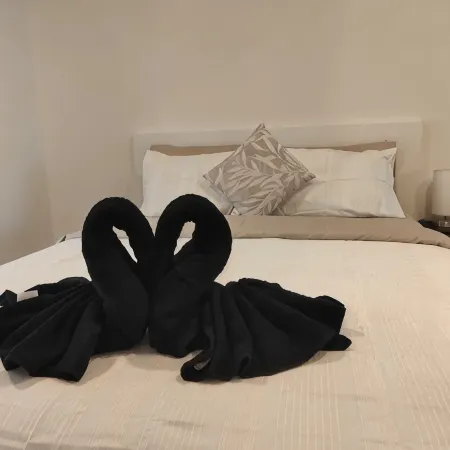 Modern 1-bedroom Unit in Dicksonnear Shops