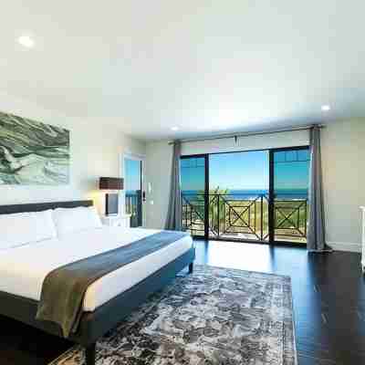 Newly renovated, light/bright San Diego home with a big ocean view over the pool Rooms